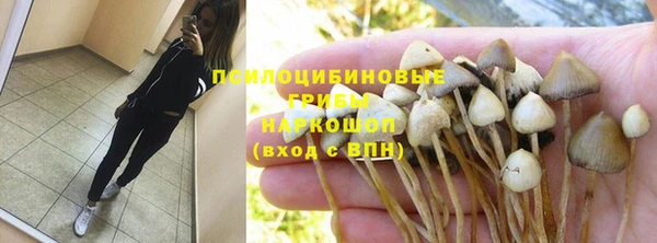 сатива Алзамай