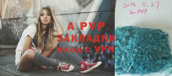 сатива Алзамай